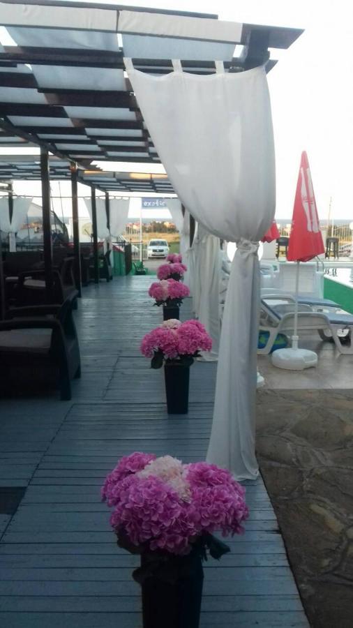 Complex Exotica Hotell Lozenets Eksteriør bilde